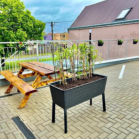 Penzion Bazen Vino Sklep U Palecku Zaječí Esterno foto